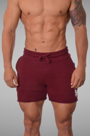 YoungLA 102 Bodybuilding French Terry Shorts Burgundy | ON7854-920