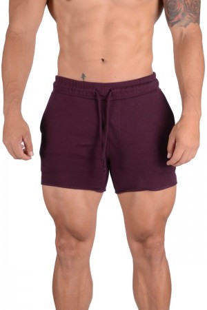 YoungLA 102 Bodybuilding French Terry Shorts Purple | GI1502-894