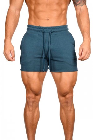 YoungLA 102 Bodybuilding French Terry Shorts Teal | OC7580-942