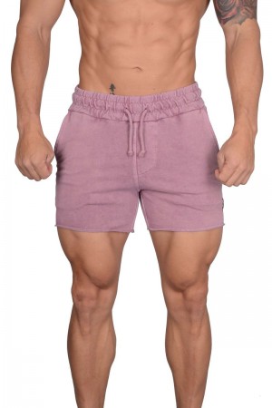 YoungLA 102 Bodybuilding French Terry Shorts Pink Washed | KS3102-745