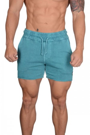 YoungLA 102 Bodybuilding French Terry Shorts Teal Wash | SH9234-065