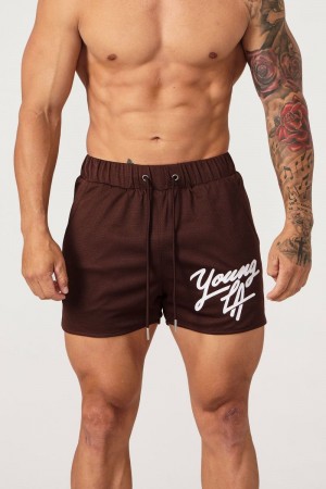 YoungLA 104 Legacy Shorts Brown | NR7463-095