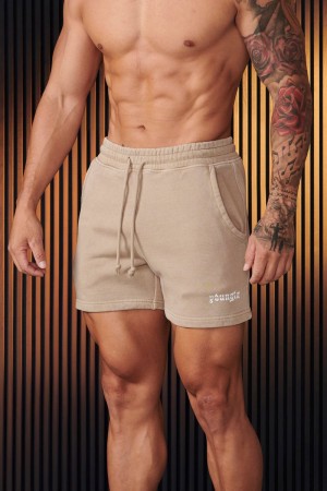 YoungLA 107 , Chrome Shorts Tan Wash | QG1864-527