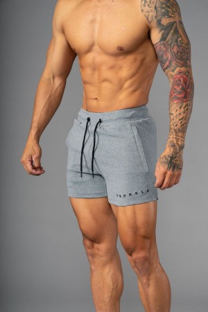 YoungLA 113 The Perfect Short Shorts Heather Grey | VJ9705-264