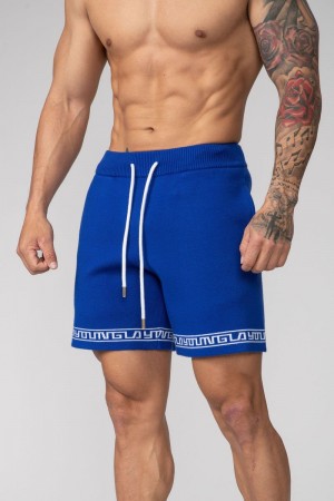 YoungLA 116 Hieroglyphic Knitted Shorts Royal Blue | FH5239-417