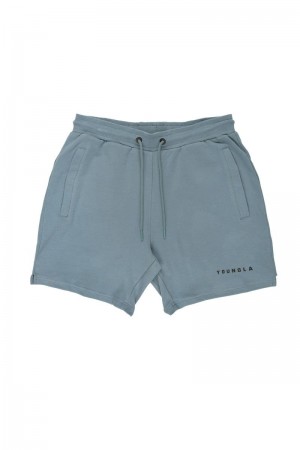 YoungLA 118 The Perfect Shorts Grey Blue | FU7692-348