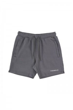 YoungLA 118 The Perfect Shorts Nardo Grey | LP0497-521