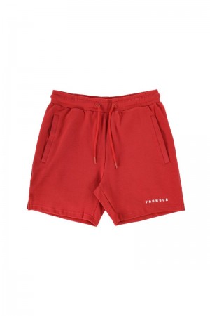 YoungLA 118 The Perfect Shorts Red | QP7841-236