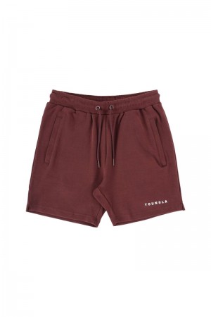 YoungLA 118 The Perfect Shorts Wine | FE9653-721