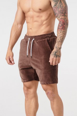 YoungLA 119 Cord Collection , Shorts Chocolate | YP7243-106