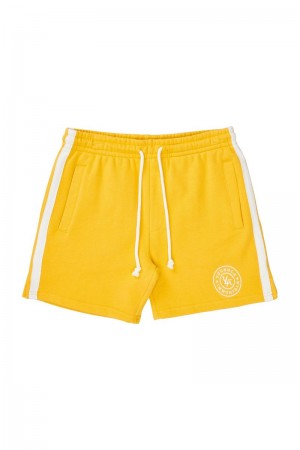 YoungLA 137 , Golden Era Bodybuilding Shorts Yellow | LI3159-027