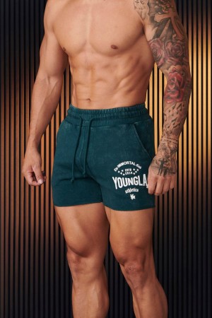 YoungLA 152 , Immortal Shorts Teal Wash | BH4532-076