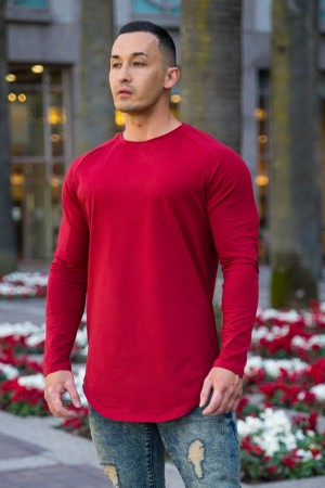 YoungLA 410 PERFECT RAGLAN LONG SLEEVE SHIRTS Dark Red | JG3845-612