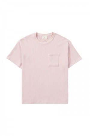 YoungLA 419 Cord Collection , Shirt Pink | UI1908-726