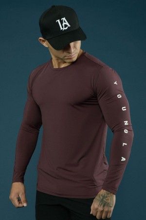 YoungLA 424 Zephyr Compression Long Sleeves Marooned | TW7890-265