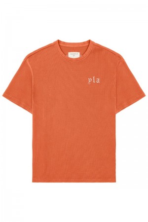 YoungLA 427 Summer Waffle Shirt Rusty Orange | MW5061-829