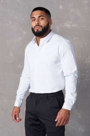 YoungLA 803 , Formal Dress Shirts Sky Blue | NP3519-642