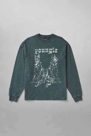 YoungLA 804 For All The Dogs Longsleeves Deep Teal Wash | KW8451-790