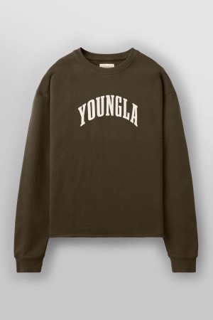 YoungLA 826 , Uni Crewneck Brown Wash | DG2641-987