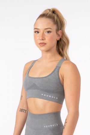 YoungLA W308 Seamless Sports Bra Stone Grey | QN3187-652