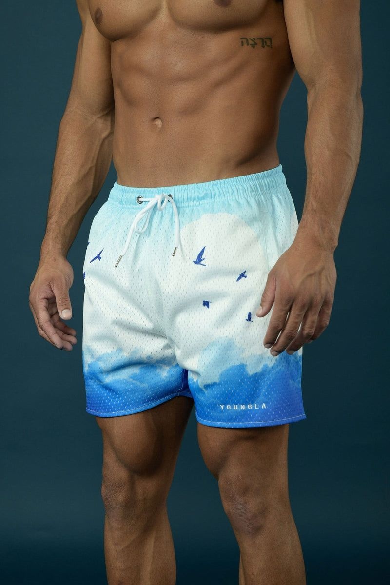 YoungLA 141 The Block Party Shorts Sedona Sunrise | YI9452-367